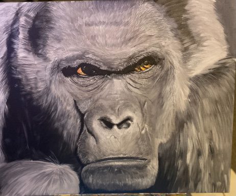 Silver Back Gorilla painted on acrylic board with acrylic.